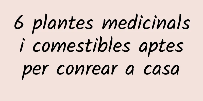 6 plantes medicinals i comestibles aptes per conrear a casa