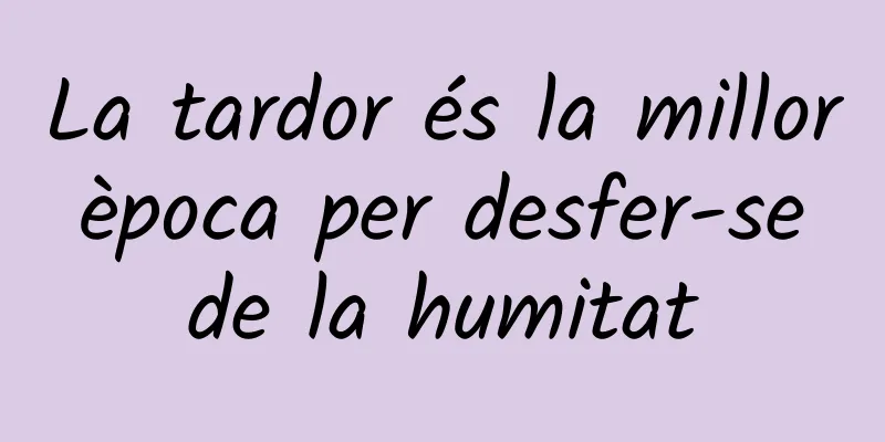 La tardor és la millor època per desfer-se de la humitat