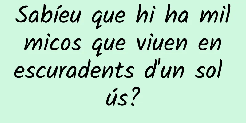 Sabíeu que hi ha mil micos que viuen en escuradents d'un sol ús?