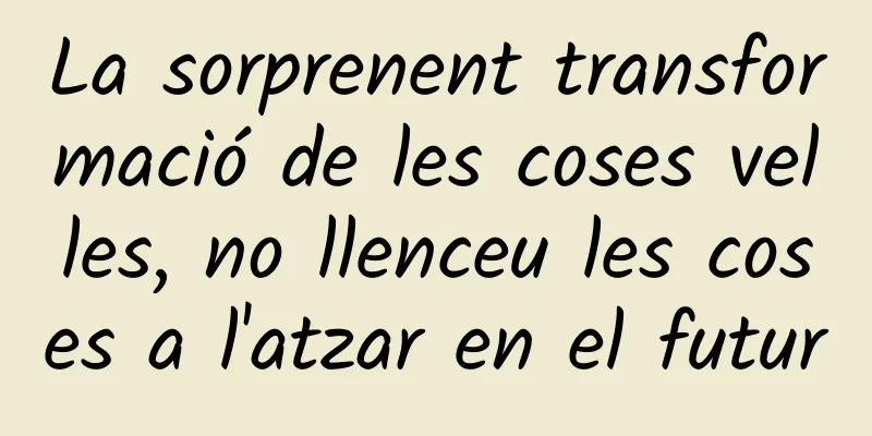La sorprenent transformació de les coses velles, no llenceu les coses a l'atzar en el futur