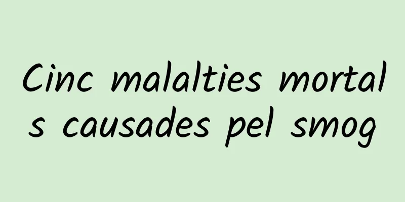 Cinc malalties mortals causades pel smog