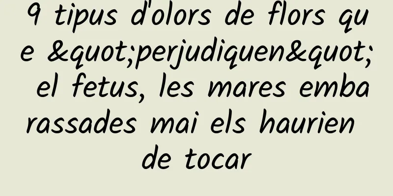 9 tipus d'olors de flors que "perjudiquen" el fetus, les mares embarassades mai els haurien de tocar