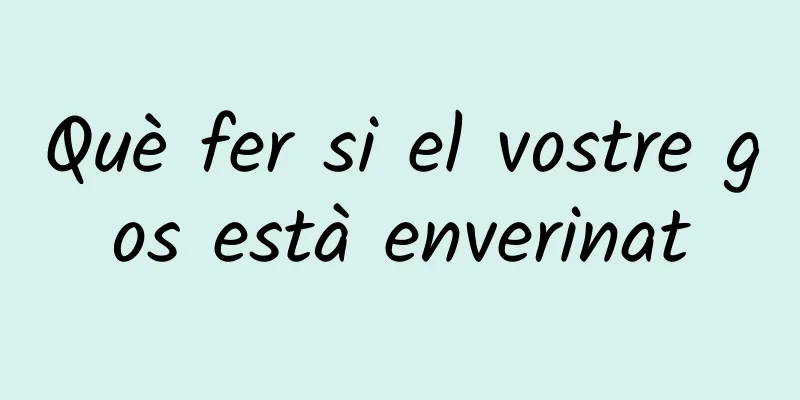 Què fer si el vostre gos està enverinat