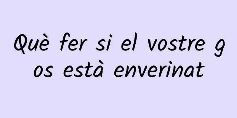 Què fer si el vostre gos està enverinat