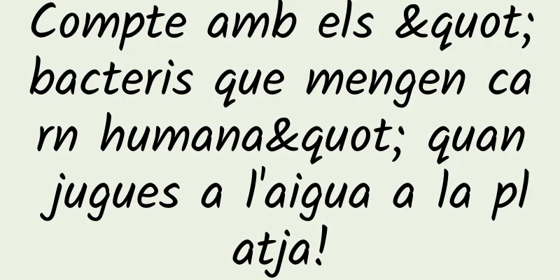 Compte amb els "bacteris que mengen carn humana" quan jugues a l'aigua a la platja!
