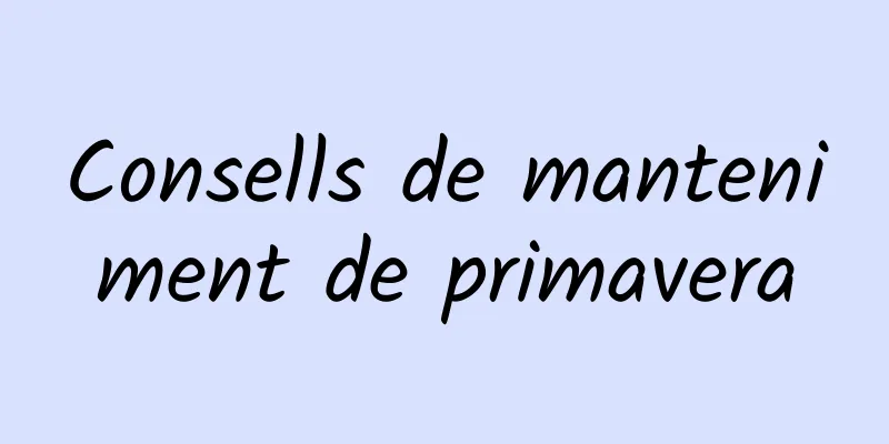 Consells de manteniment de primavera