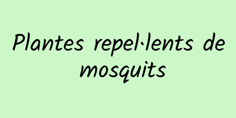 Plantes repel·lents de mosquits