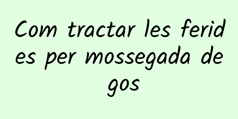 Com tractar les ferides per mossegada de gos