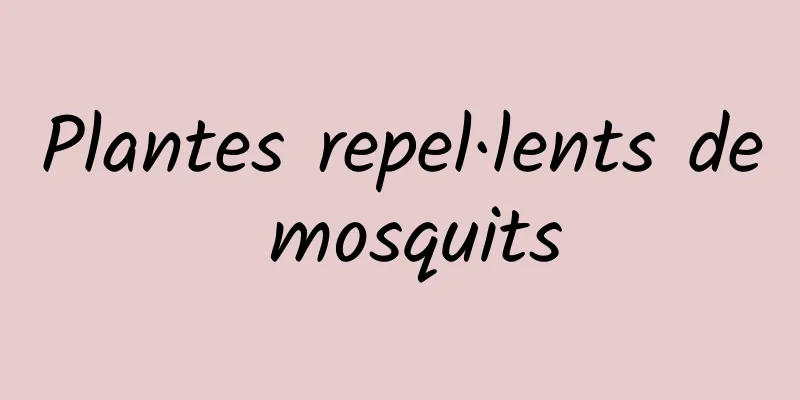Plantes repel·lents de mosquits