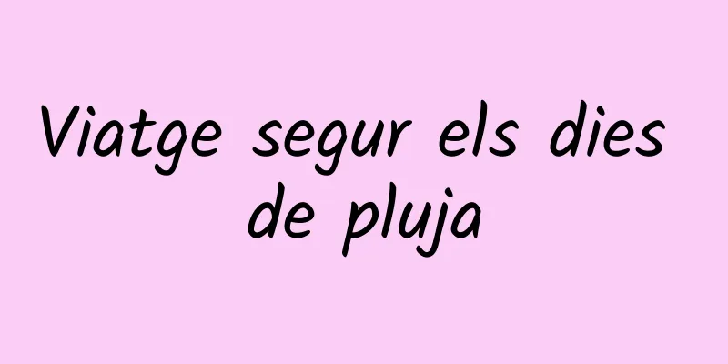 Viatge segur els dies de pluja