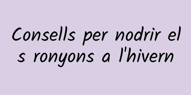Consells per nodrir els ronyons a l'hivern