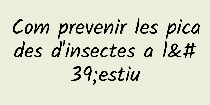 Com prevenir les picades d'insectes a l'estiu
