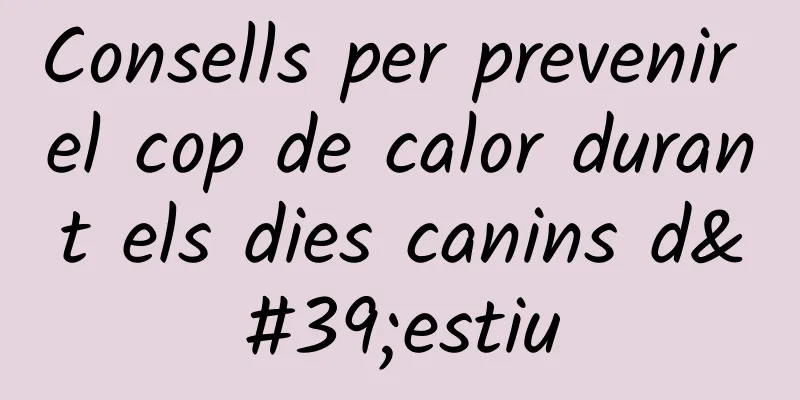 Consells per prevenir el cop de calor durant els dies canins d'estiu
