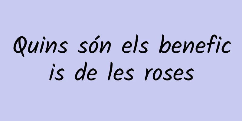 Quins són els beneficis de les roses