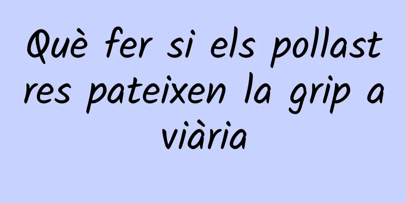 Què fer si els pollastres pateixen la grip aviària