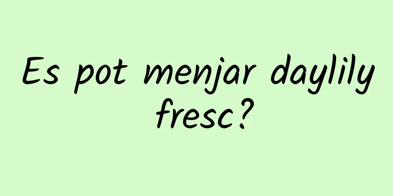 Es pot menjar daylily fresc?
