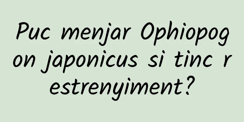 Puc menjar Ophiopogon japonicus si tinc restrenyiment?