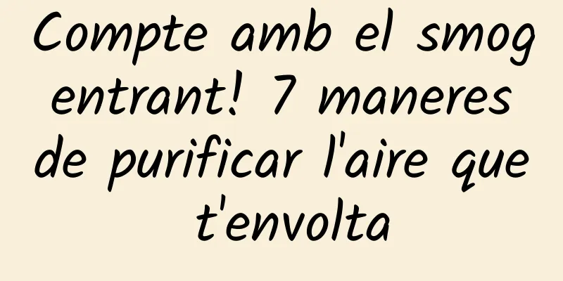 Compte amb el smog entrant! 7 maneres de purificar l'aire que t'envolta