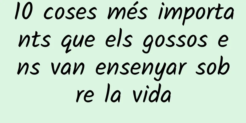 10 coses més importants que els gossos ens van ensenyar sobre la vida