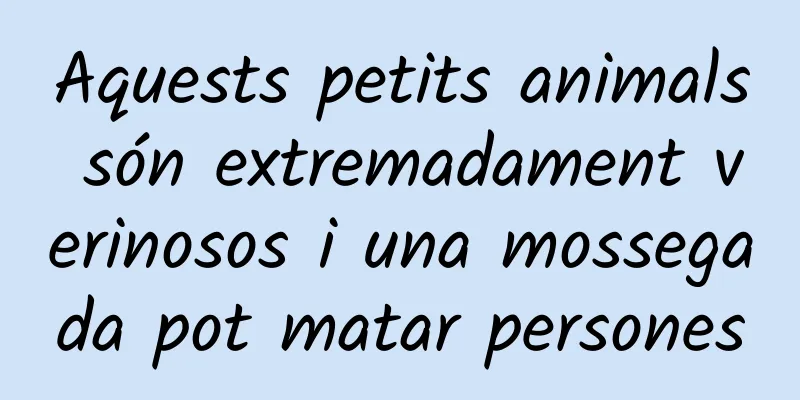 Aquests petits animals són extremadament verinosos i una mossegada pot matar persones