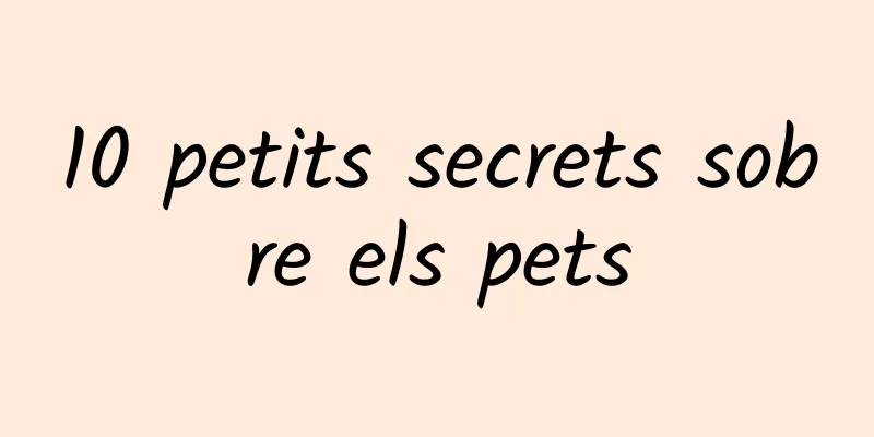 10 petits secrets sobre els pets