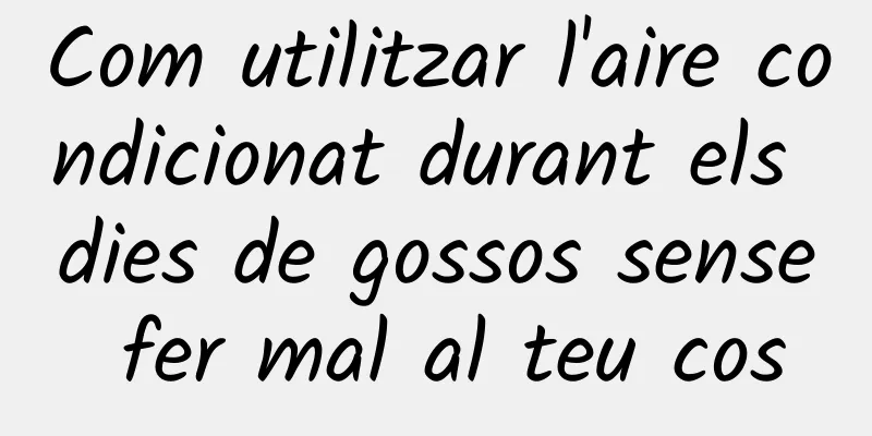 Com utilitzar l'aire condicionat durant els dies de gossos sense fer mal al teu cos