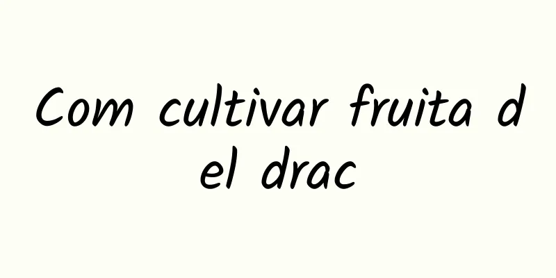 Com cultivar fruita del drac