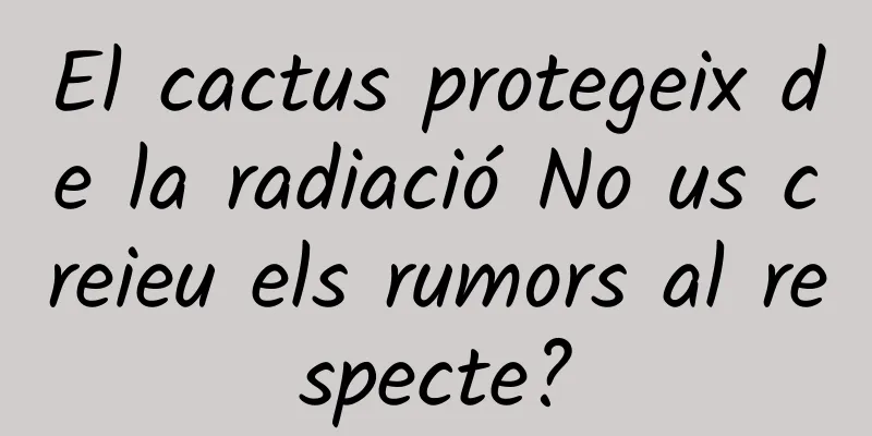 El cactus protegeix de la radiació No us creieu els rumors al respecte?