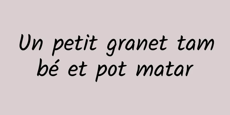 Un petit granet també et pot matar