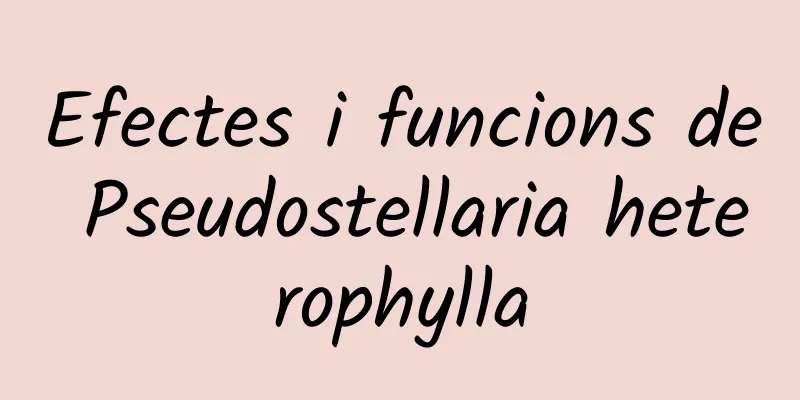 Efectes i funcions de Pseudostellaria heterophylla