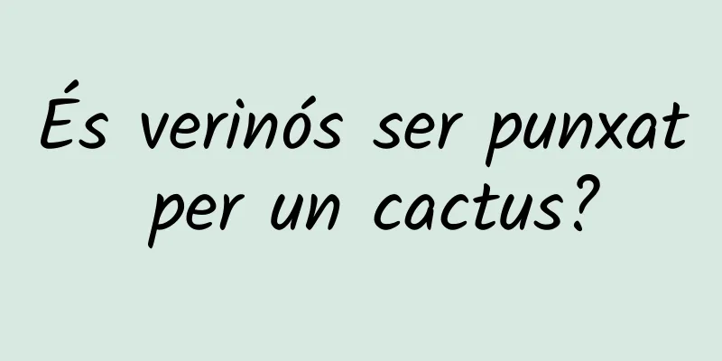 És verinós ser punxat per un cactus?