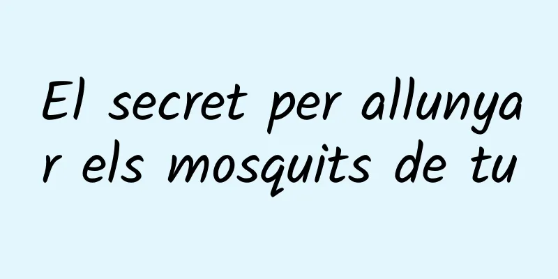 El secret per allunyar els mosquits de tu