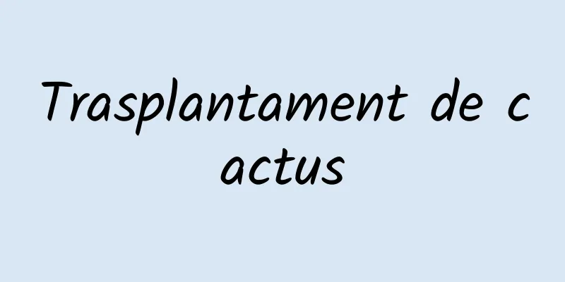 Trasplantament de cactus