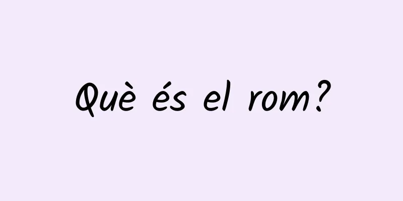 Què és el rom?