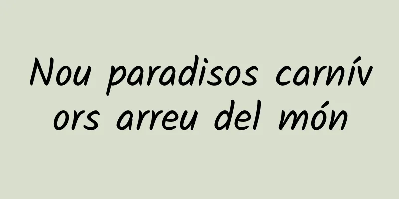 Nou paradisos carnívors arreu del món