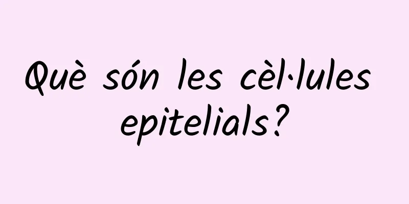 Què són les cèl·lules epitelials?