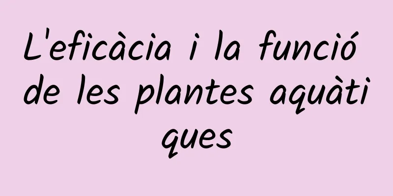 L'eficàcia i la funció de les plantes aquàtiques