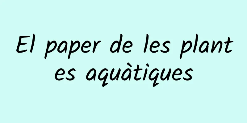El paper de les plantes aquàtiques