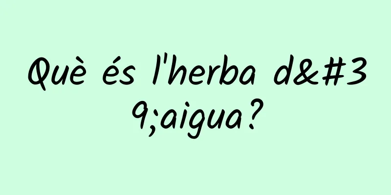 Què és l'herba d'aigua?