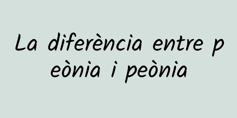 La diferència entre peònia i peònia