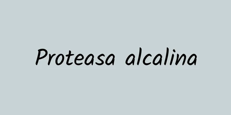 Proteasa alcalina