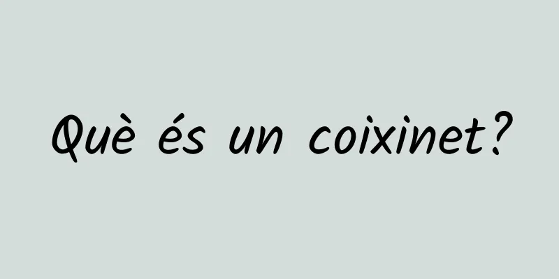Què és un coixinet?