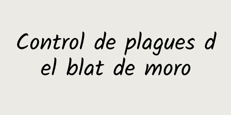 Control de plagues del blat de moro