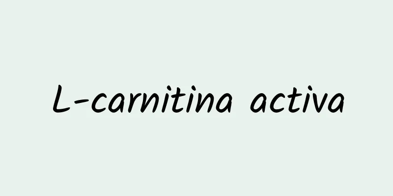 L-carnitina activa