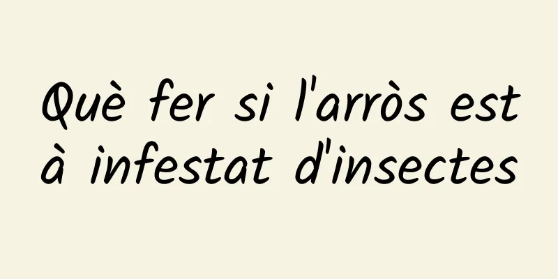 Què fer si l'arròs està infestat d'insectes