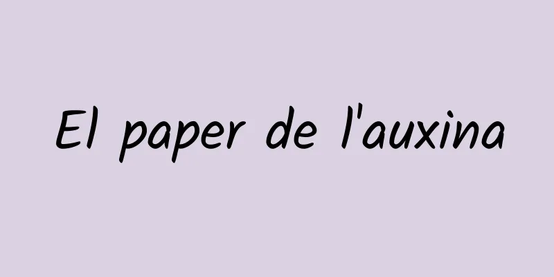 El paper de l'auxina