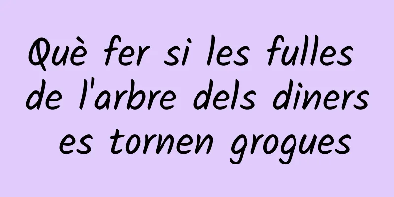 Què fer si les fulles de l'arbre dels diners es tornen grogues