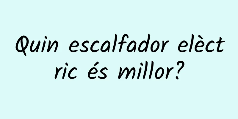 Quin escalfador elèctric és millor?