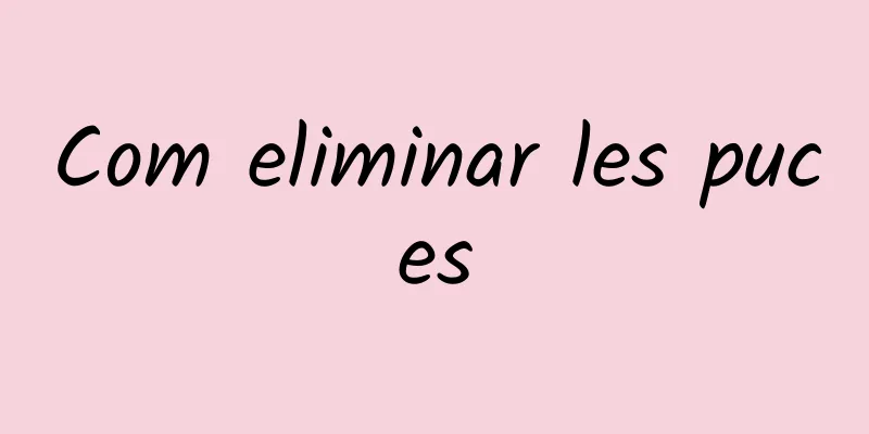 Com eliminar les puces