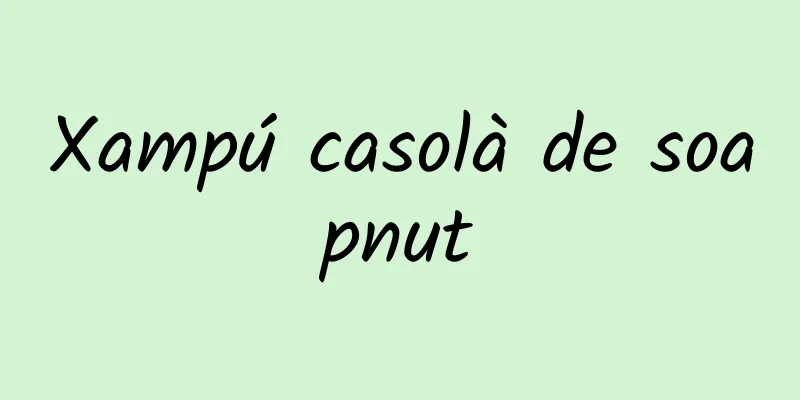 Xampú casolà de soapnut